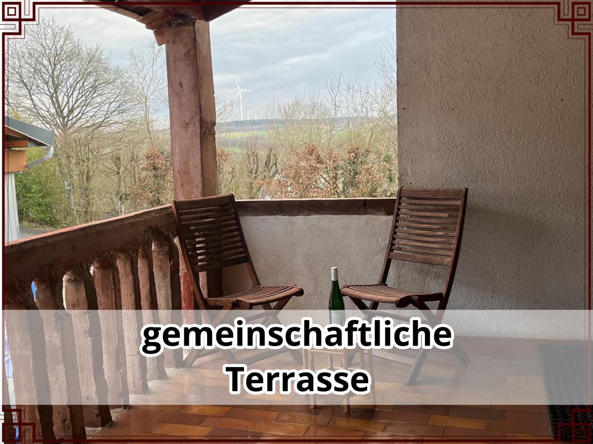 Smallsaigon Apartment Mit Guter Anbindung Zwischen Mosel Und Rhein Leiningen Экстерьер фото