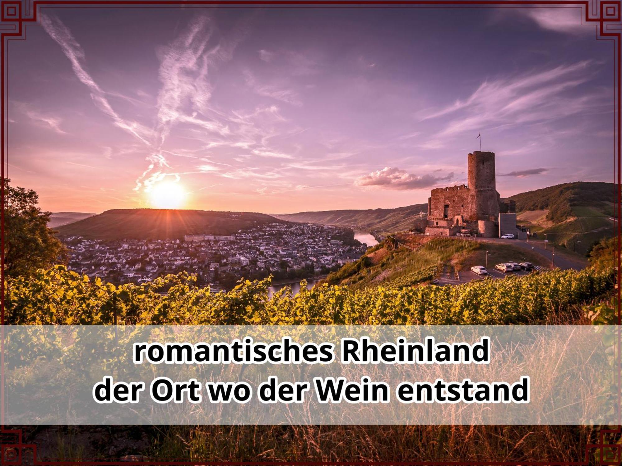 Smallsaigon Apartment Mit Guter Anbindung Zwischen Mosel Und Rhein Leiningen Экстерьер фото